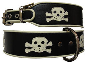 J&rsquo;ai trouvé un collier original pour mon meilleur ami !