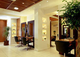 J&rsquo;ai testé : mes cheveux adorent les plantes !