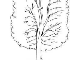 Coloriage : un arbre