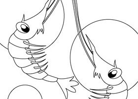 Coloriage : les crevettes