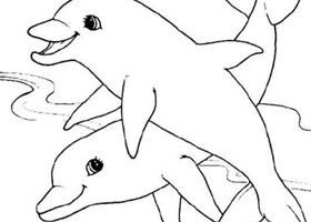 Coloriage : le couple de dauphins
