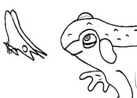 Coloriage : la grenouille