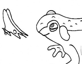Coloriage : la grenouille