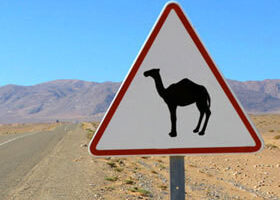 Roulez jeunesse à l&rsquo;étranger !