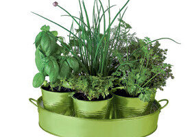 Vite, un potager sans m&rsquo;fatiguer !