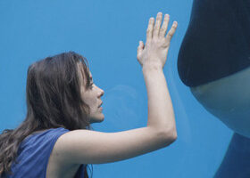 Pourquoi tout le monde va parler du film De rouille et d&rsquo;os ?