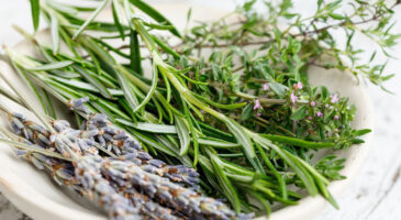 Des plantes et des femmes