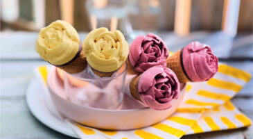 Été : les Français sont-ils amoureux des glaces ?