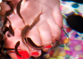 J&rsquo;ai testé la Fish Pedicure