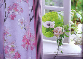 Fleurs de cerisiers et magnolia