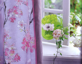 Fleurs de cerisiers et magnolia