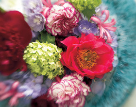 Fleurs de Tricia Guild