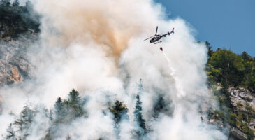 Forêt : comment éviter les incendies ?