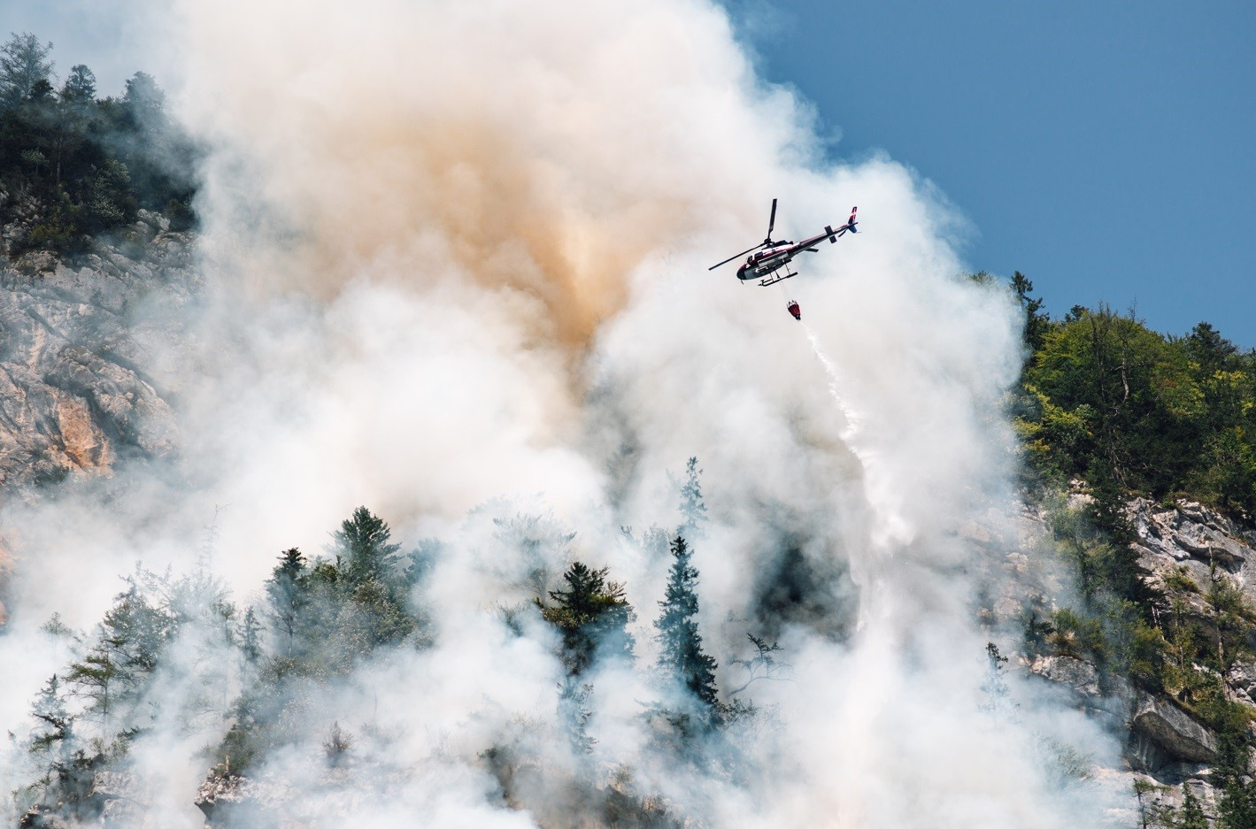 Forêt : comment éviter les incendies ?