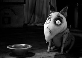3 bonnes raisons de voir Frankenweenie de Tim Burton
