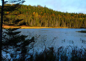 Mon été indien en Gaspésie