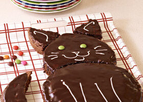 Gâteau chat au chocolat
