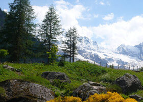 Épisode 1 : Combien je l&rsquo;aime…