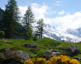 Épisode 1 : Combien je l&rsquo;aime…