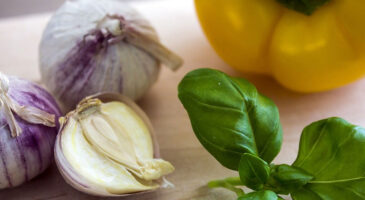 L&rsquo;ail et le basilic s&rsquo;invitent à Tours !