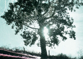 « Laisse les hommes pleurer » d&rsquo;Eugène Durif