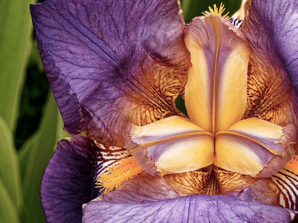 Les anecdotes de Cora #8