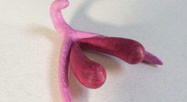 Les 3 articles féministes à lire cette semaine #19