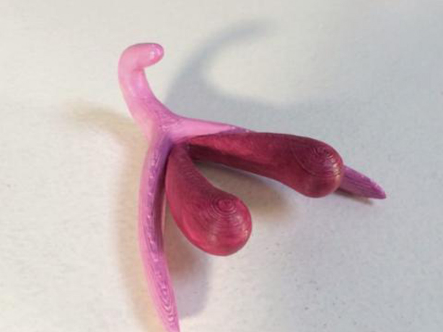 Les 3 articles féministes à lire cette semaine #19