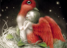 Je veux le dernier roman de Mathias Malzieu : Métamorphose en bord de ciel