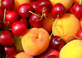 Nutrition : manger 5 fruits et légumes par jour, si je peux !