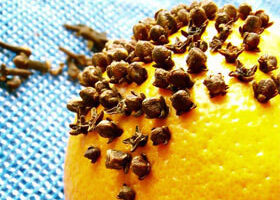 5 trucs écolo et pas chers pour entretenir ma maison