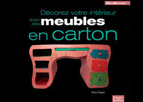 Meubles en carton
