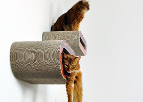 Un mobilier qui va vous faire ronronner !