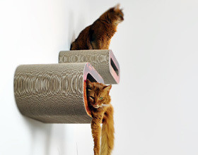 Un mobilier qui va vous faire ronronner !