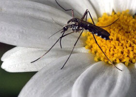 Au secours, ils veulent gâcher mes vacances