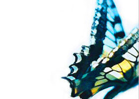 On adore : « Ne riez pas de mon histoire d&rsquo;amour »