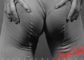 On adore : Night Work des Scissor Sisters