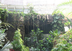 Nice: le Parc Phoenix en famille