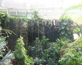 Nice: le Parc Phoenix en famille