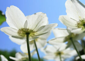Cela sent la rentrée !
