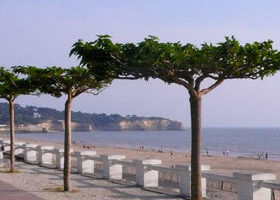 Montre-moi ta conche, je te dirai qui tu es