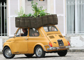 Un jardin chez moi, même en appartement ?