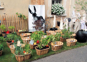 4 Solutions pour créer mon mini-potager