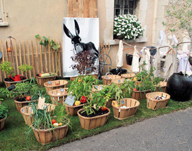 4 Solutions pour créer mon mini-potager