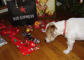 Vous faites quoi pour le 31 ?