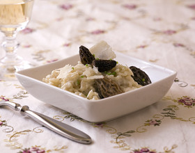 Risotto aux morilles et au parmesan