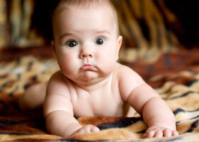 Mais qu&rsquo;est-ce qu&rsquo;ils racontent ?