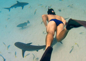 Les seigneurs de la mer