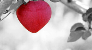 Six aphrodisiaques naturels !