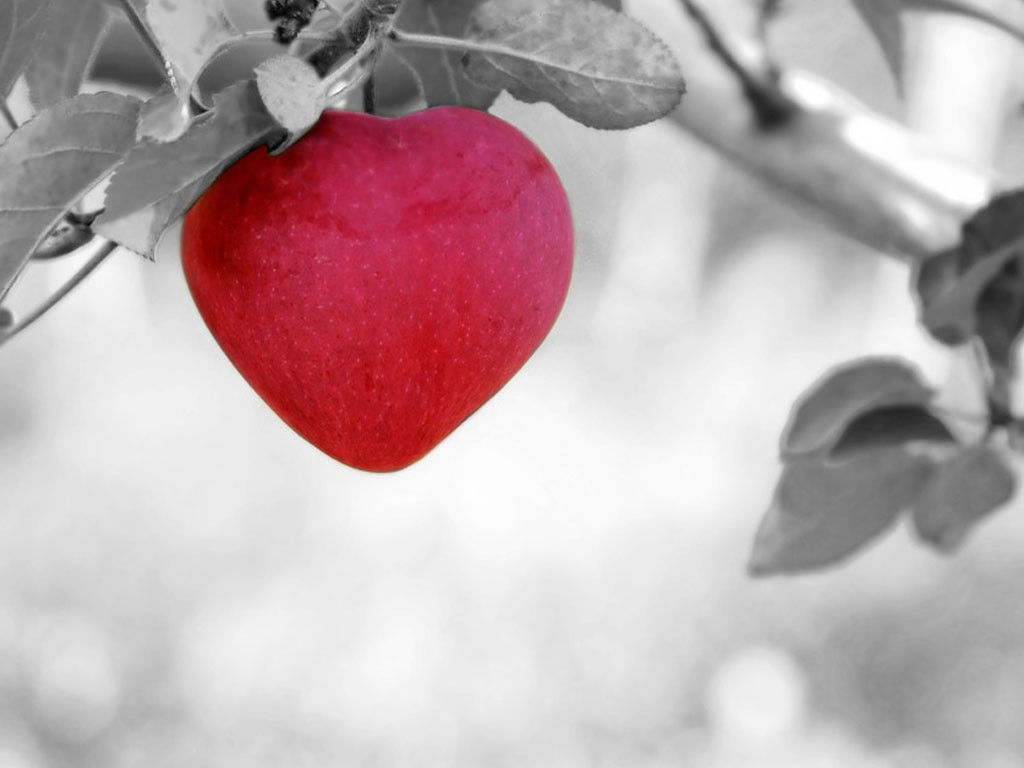 Six aphrodisiaques naturels !